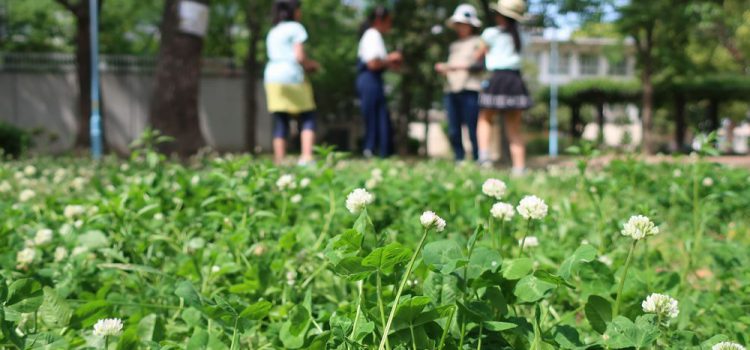 母の日に野点　～てらこや5月報告～